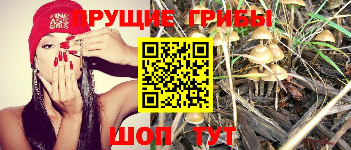 Псилоцибиновые грибы GOLDEN TEACHER  где купить наркоту  Всеволожск  Вход с VPN 