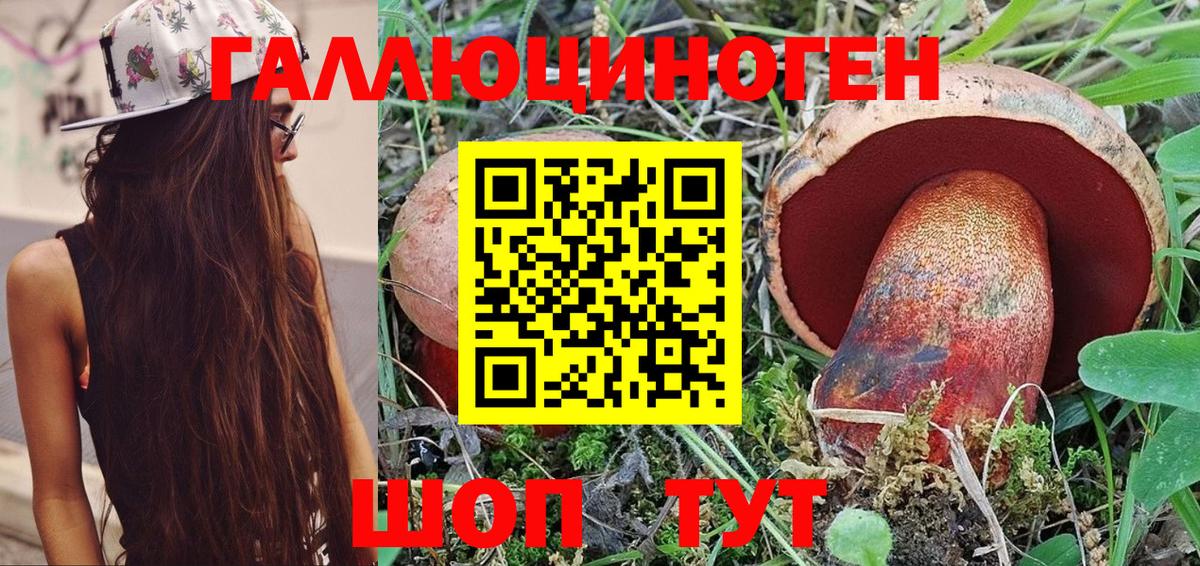 Галлюциногенные грибы Cubensis Всеволожск